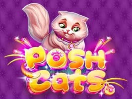 Posh Cats screenshot